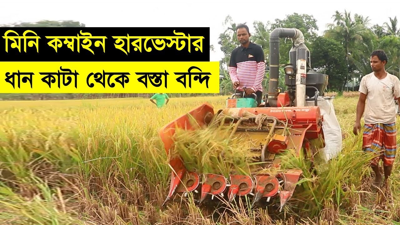 ধান কাটা থেকে বস্তা বন্দি সব এক মেশিনে | মিনি কম্বাইন হারভেস্টার | Safollo Kotha Ep 52