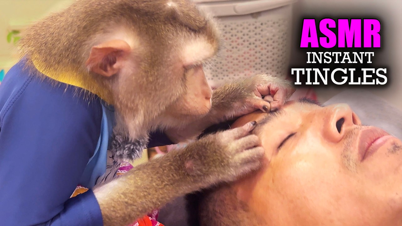 ASMR For People Who NEED Instant SLEEP| Instant Tingles Head to Toe (No Talking)