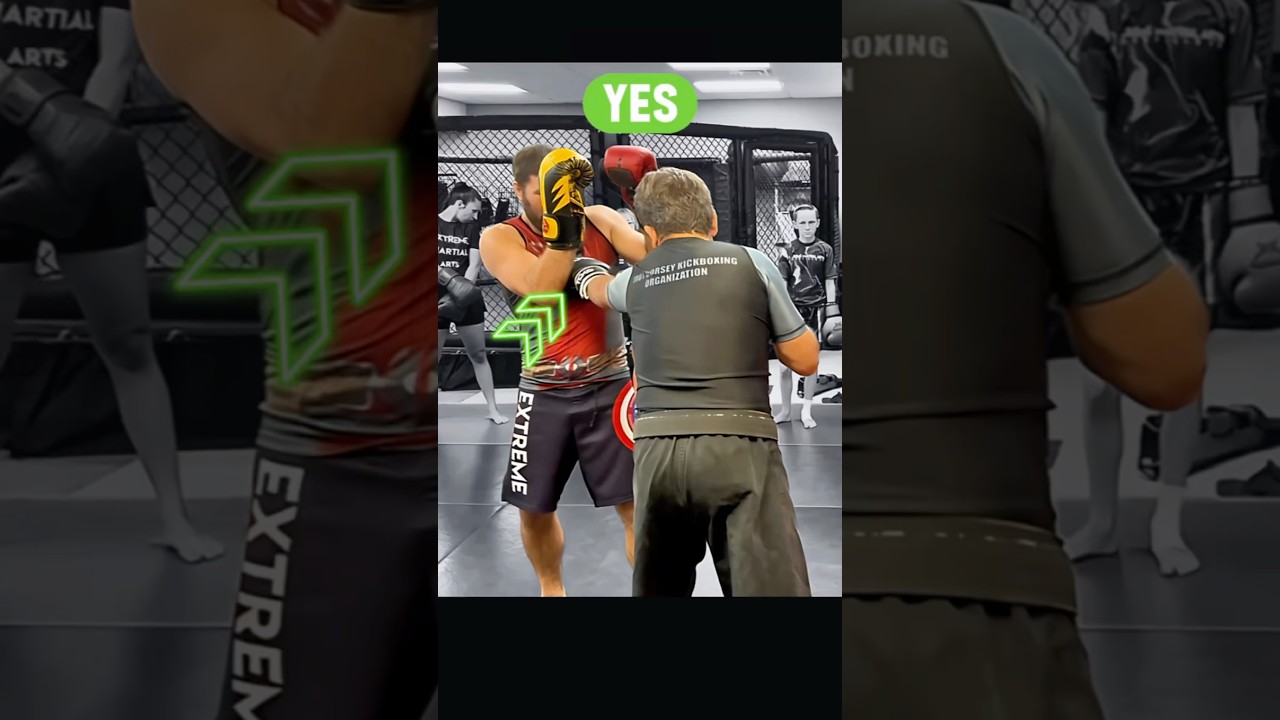 Why You SHOULD Punch the CHEST (Boxing, Kickboxing, Muay Thai)