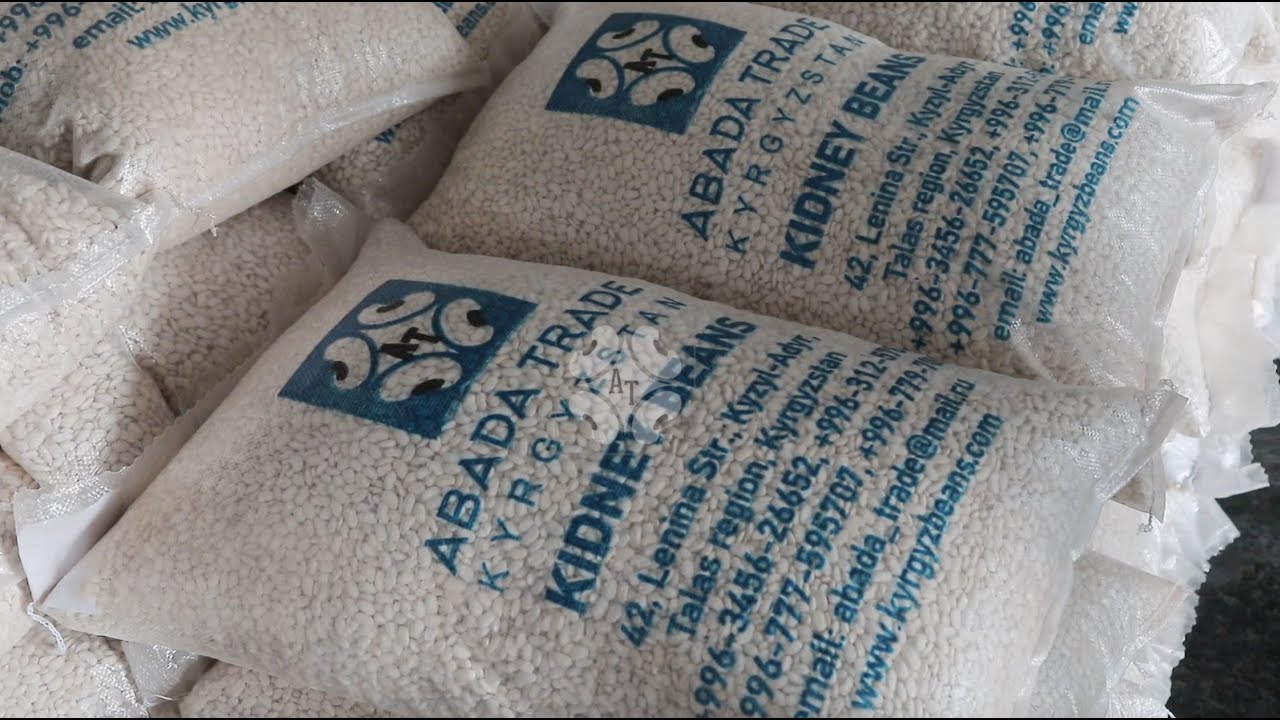 Processing of white kidney beans - ABADA Trade
