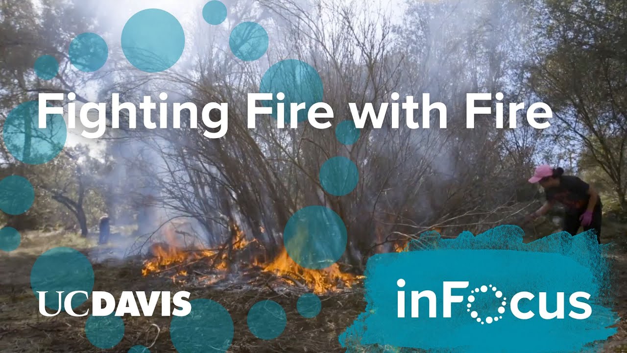 Fighting Fire With Fire: The Practice of Cultural Burning in Native American Communities