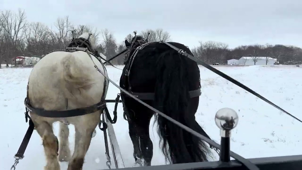 Snowy sleigh ride with Cole and Beck