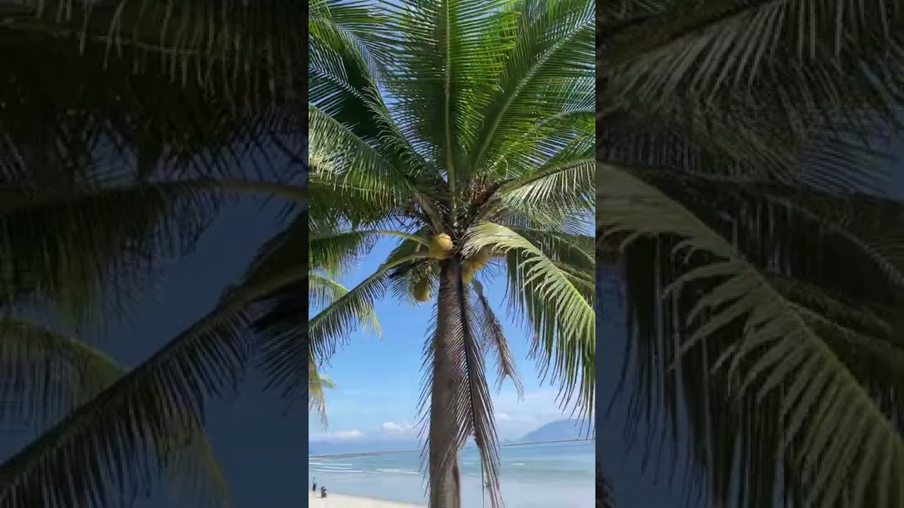GM Doc Let Beach Resort & Spa 3 Часть