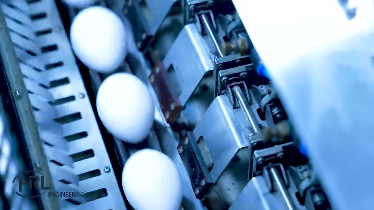 HRL's Industrial Egg Grading Machine