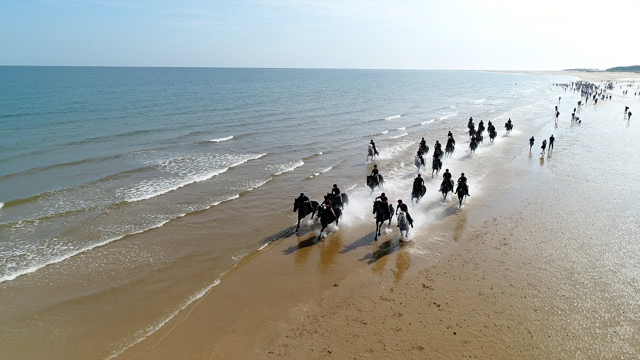 The Household Cavalry on Holkham Beach