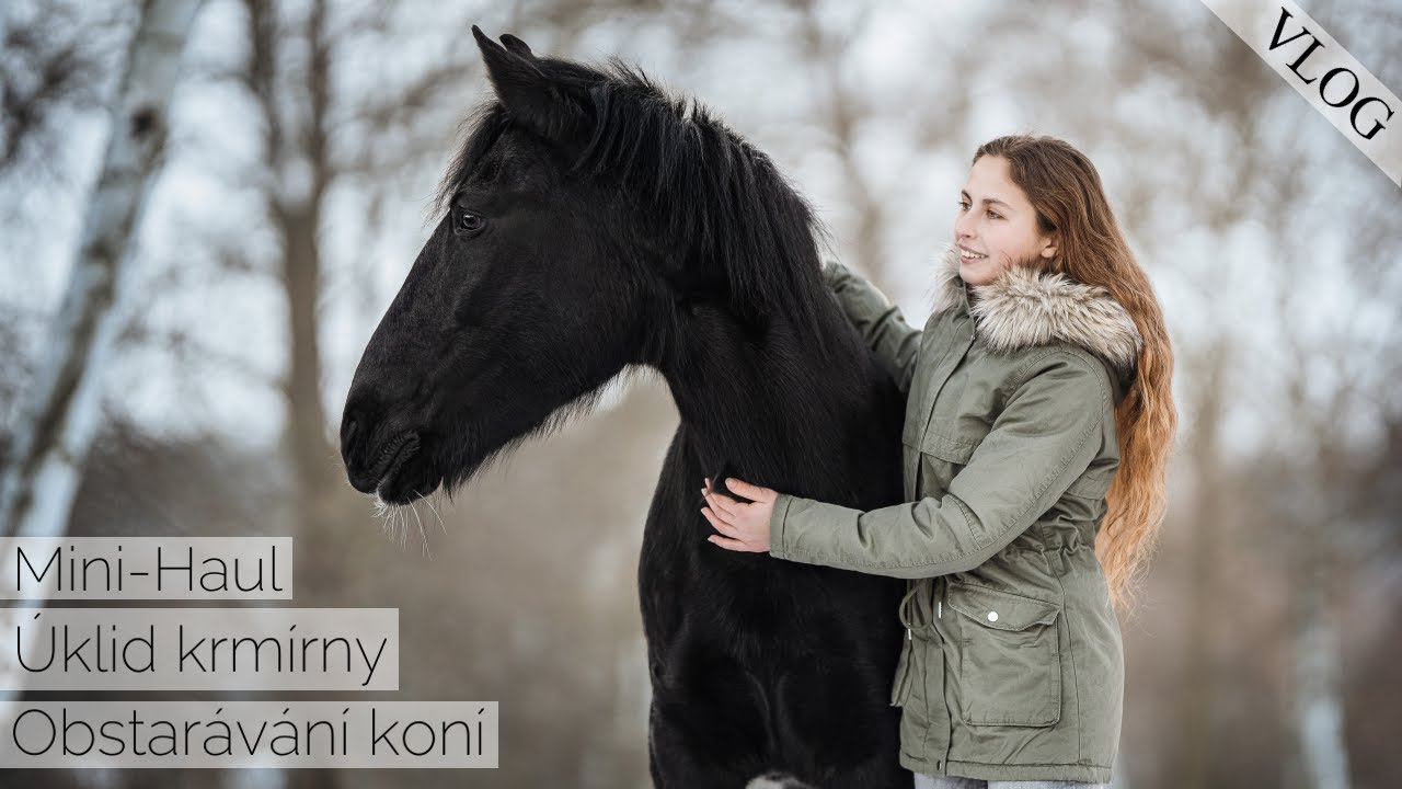 Vlog I Úklid krmírny a obstarávání koní I EquiStella