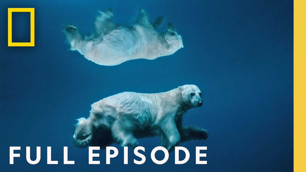 Win or Die: Underwater with Paul Nicklen & Cristina Mittermier (Full Episode) | Photographer