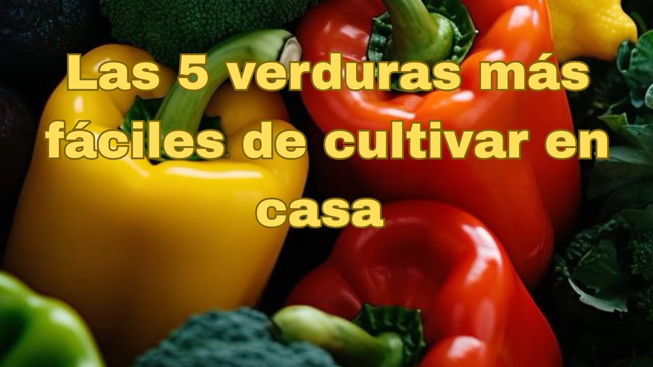 Las 5 verduras más fáciles  cultivar en casa 