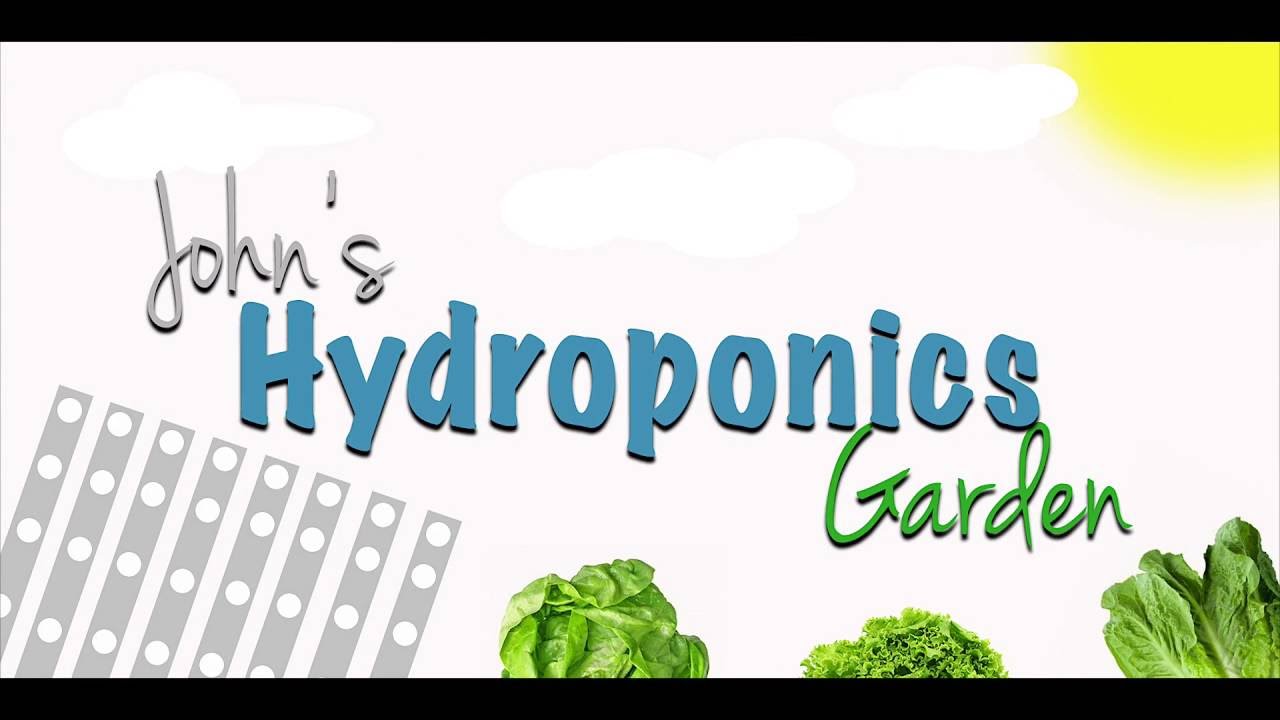 Keeping you outdoor hydroponics going in hot weather (Hydroponics Cilantro Update)