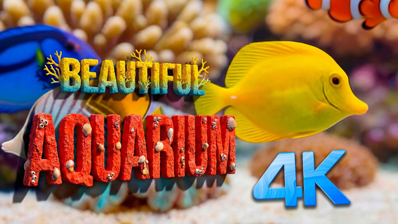 Успокаивающий звук воды в аквариуме 🐠 Коралловый риф в 4K Ultra HD для снятия стресса 🌊