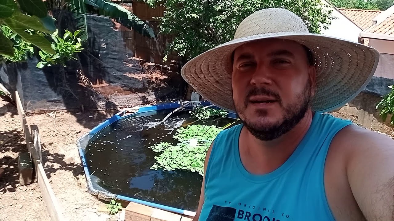 Criação de Tilápia em Piscina!