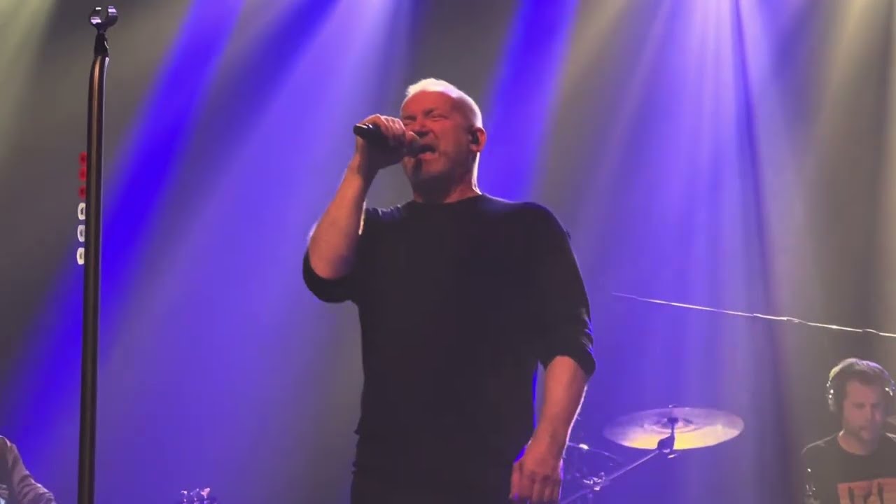 DAVID KOLLER - Gypsy Love (Bratislava 6.3.2025)