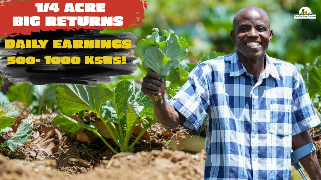 This Farmer Earns 1,000Kshs Daily from Just A 1\4 Acre