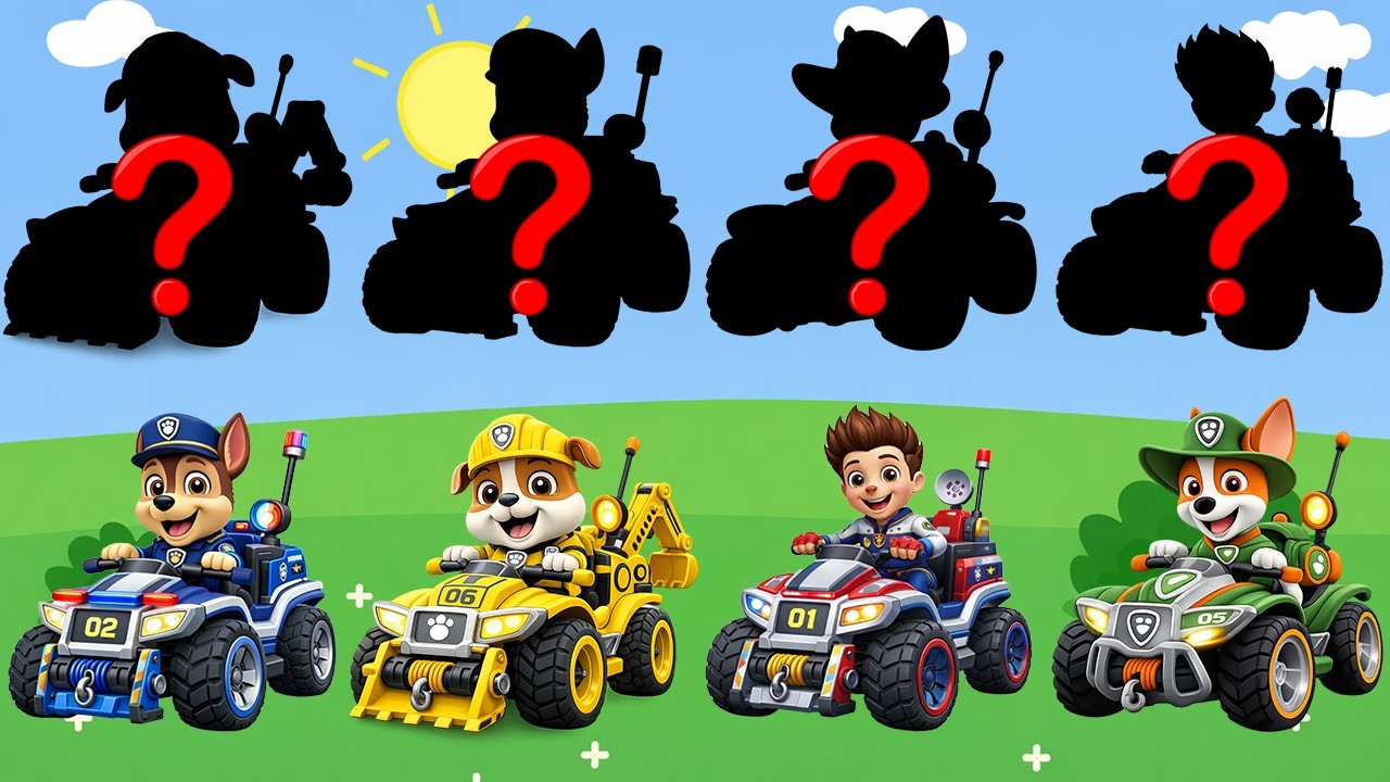 Paw Patrol and Friends Learn Kids Useful Stories for Kids Cartoon Paw Patrol | Dress Up Play