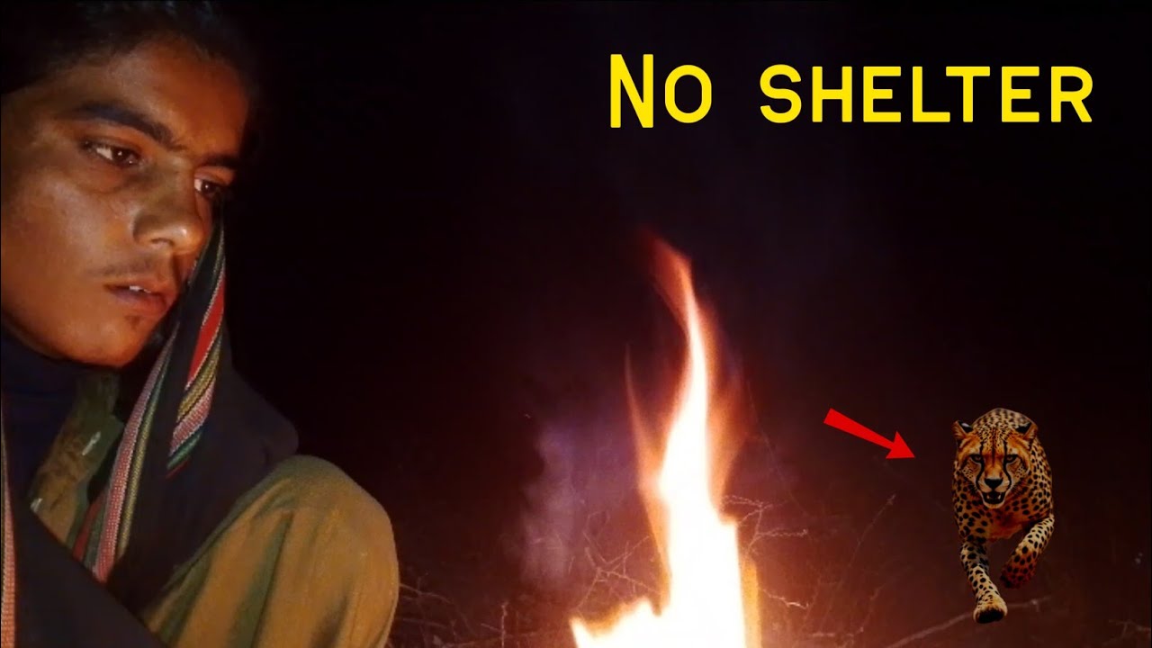 “Akela Jungle Mein Raat | No Tent, No Shelter (Freezing Cold)”
