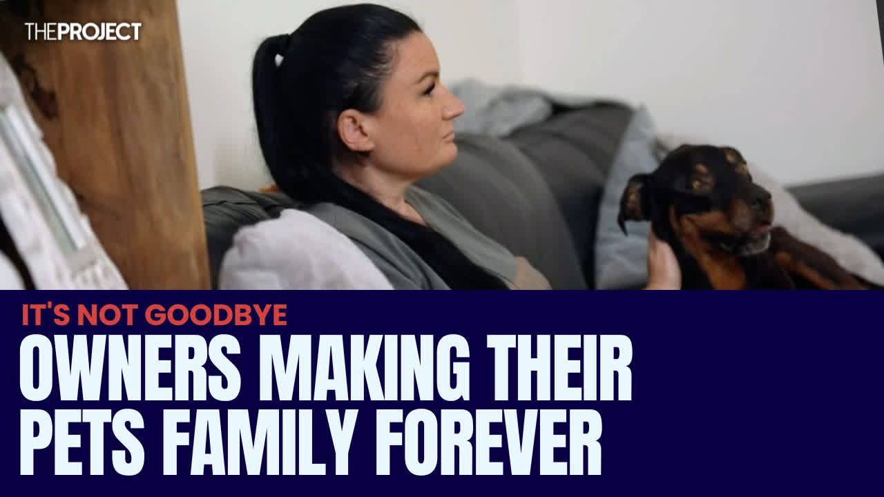 Taxidermy: Meet The Owners Who Are Making Their Pets Family Forever