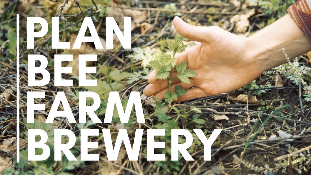 Tiny Beer Video: Plan Bee Farm Brewery's 