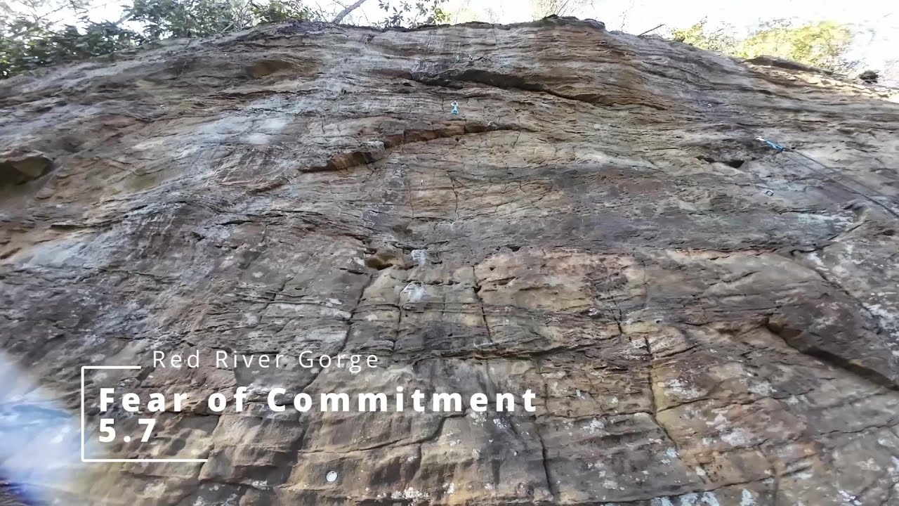 Fear of Commitment 5.7
