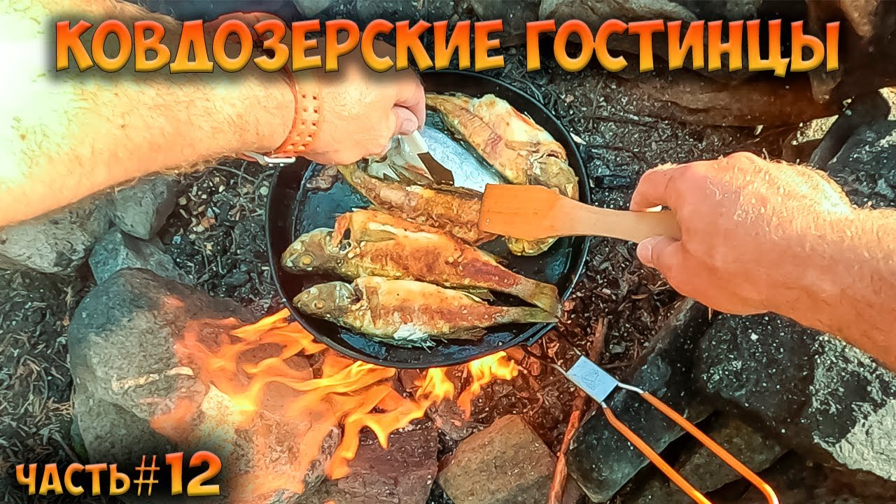 #12 Дожди и окуни | Ковдозеро 2023
