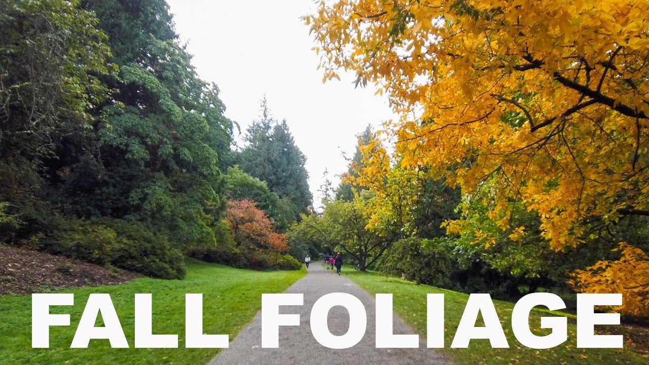 Fall Foliage at the Aboretum | Seattle's Best Park for Walking?