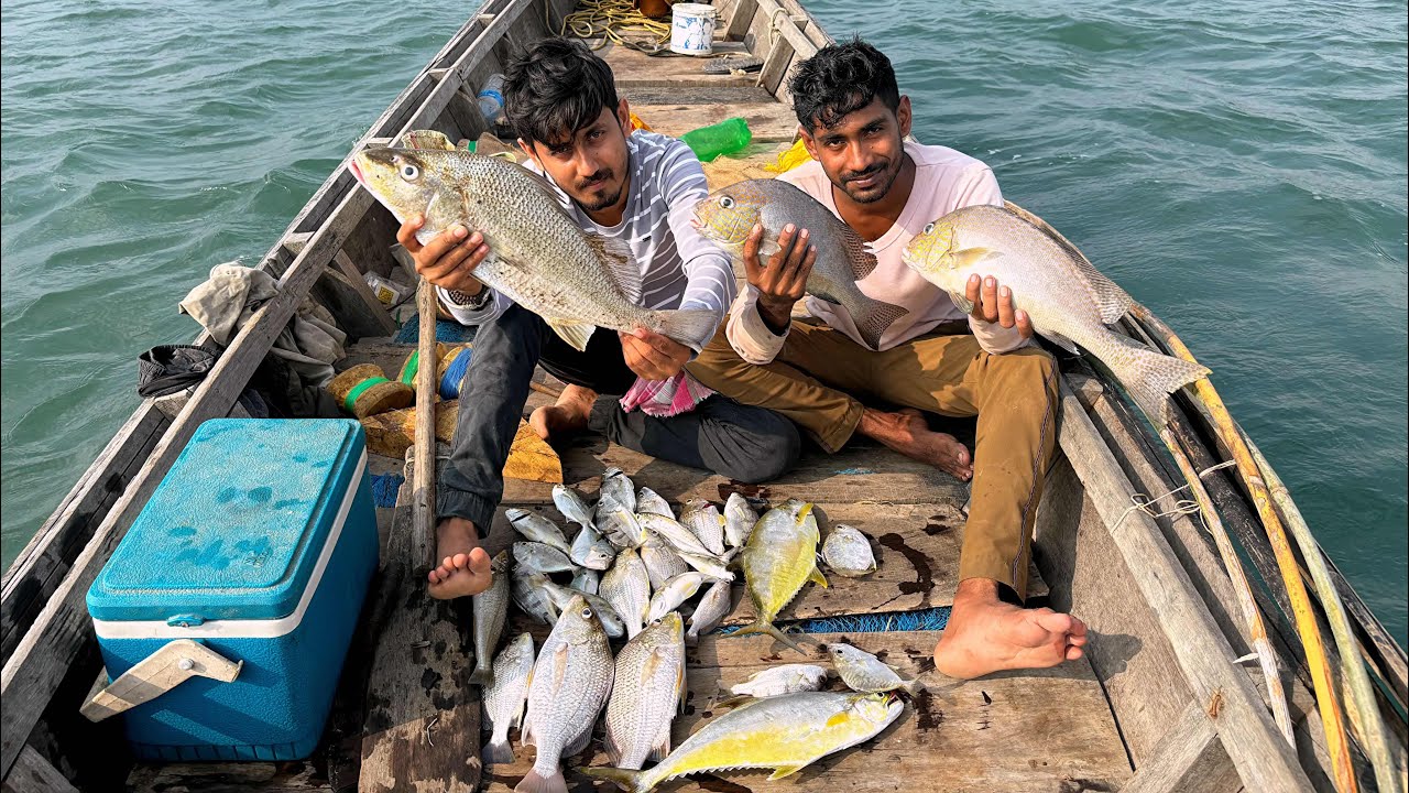 কোলকাতা হলে একটা জাভা মাছের দামই ৫০,০০০ টাকা হতো@ANDAMAN_HUNTERS
