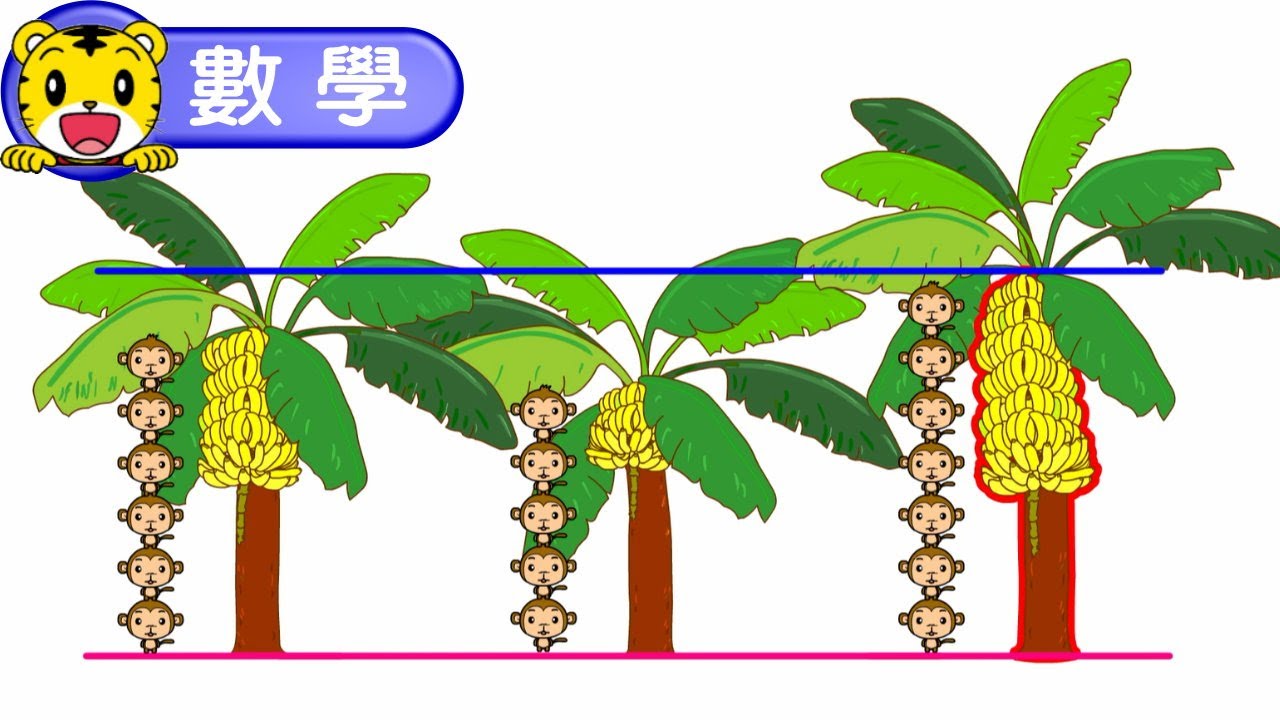 2024年11月號學習版【數學動動腦】比一比，沒問題