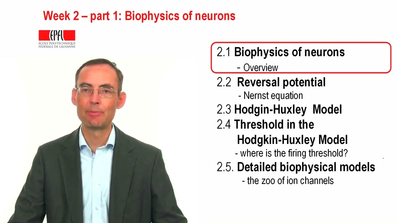 CNS2.1 - Biophysics of neurons