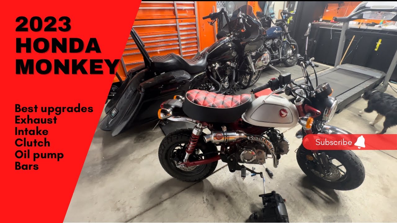 Upgraded 2023 Honda Monkey Bike - Exhaust, Intake & Fender Delete