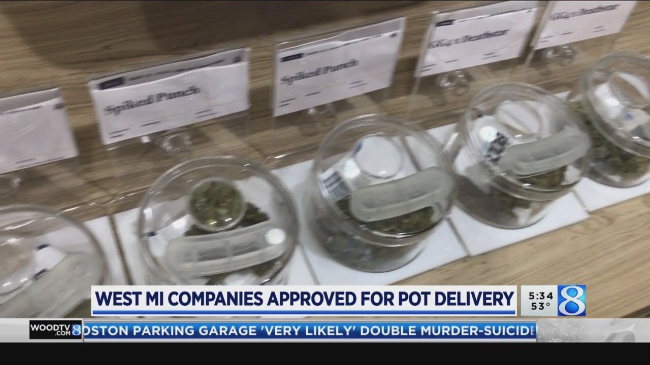 First Michigan pot businesses approved for delivery
