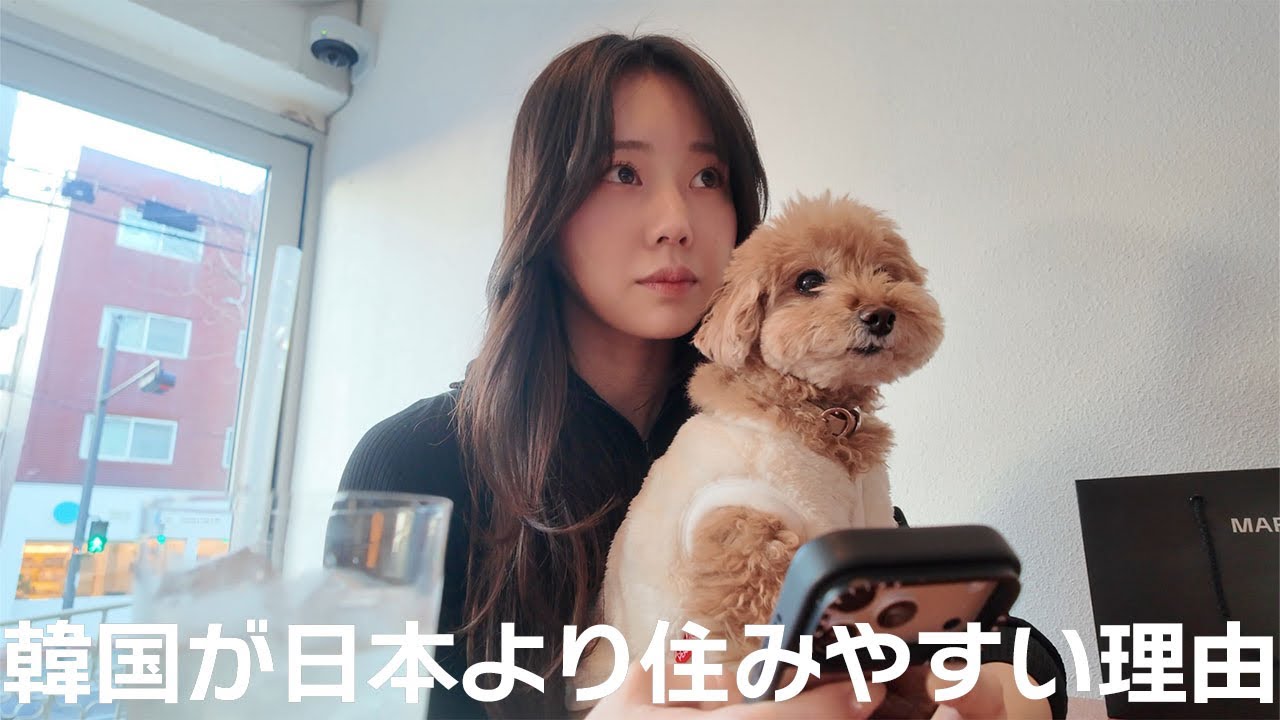 犬を飼ってる人にとって韓国がとても住みやすい理由
