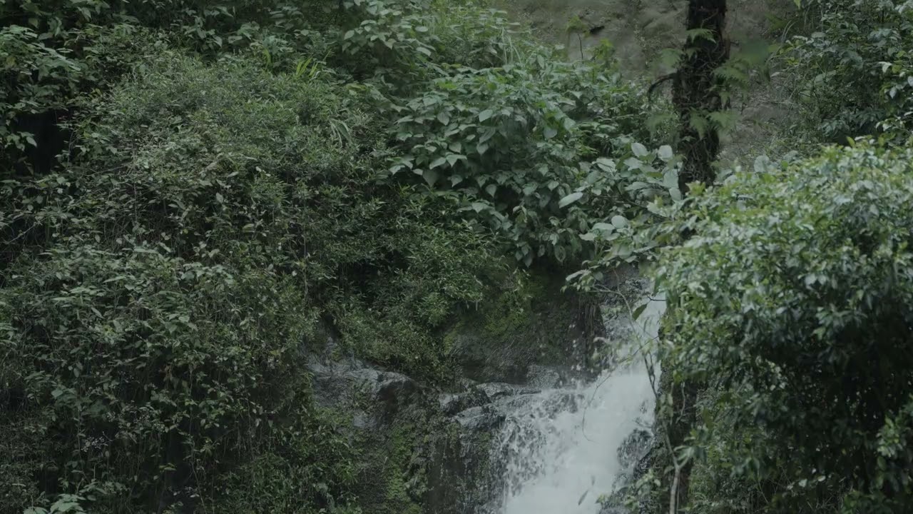 Stress relief and relaxation with calming river flow and white noise