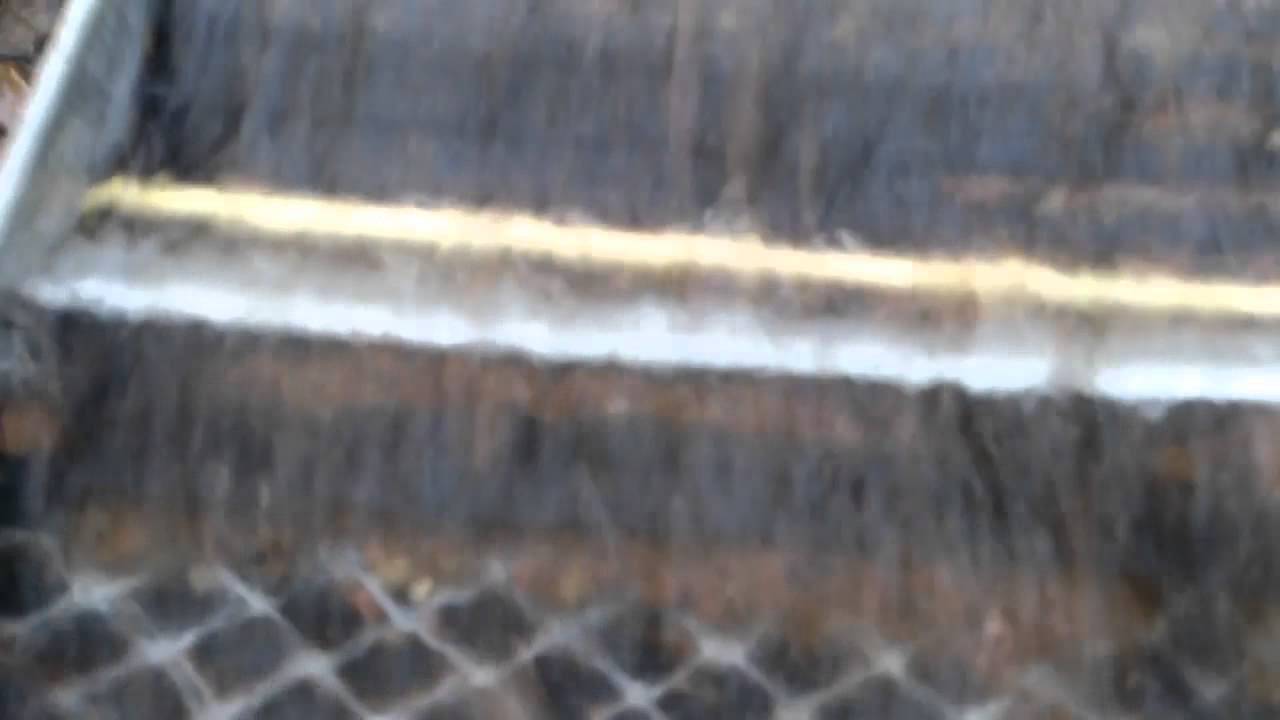 Gullgraving i oslo. Noreg/Norge. Den første turen 2013