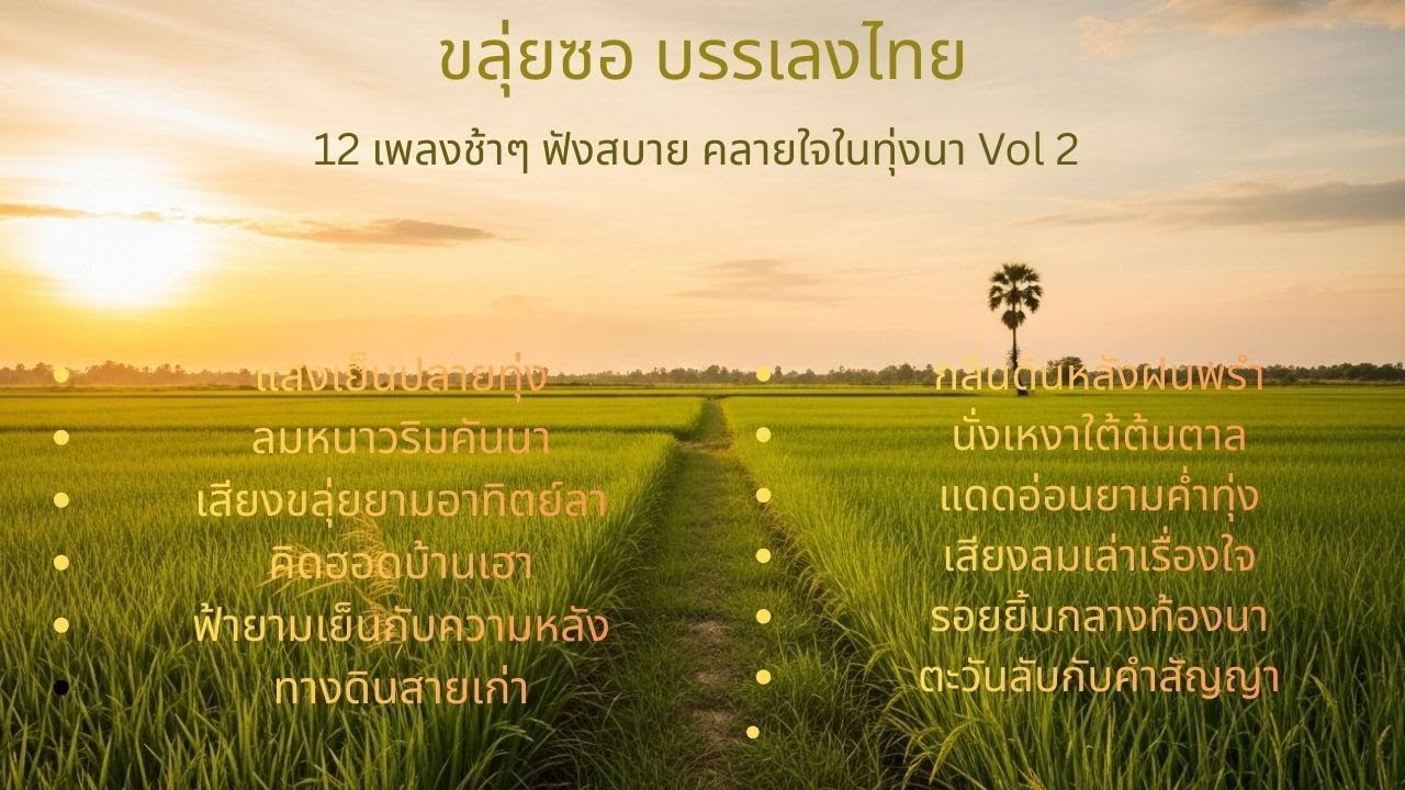 12 เพลงช้าๆ ฟังสบาย คลายใจในทุ่งนา Vol2 | ขลุ่ยซอ บรรเลงไทย | เพลงลูกทุ่งบรรเลงฟังสบาย ผ่อนคลาย