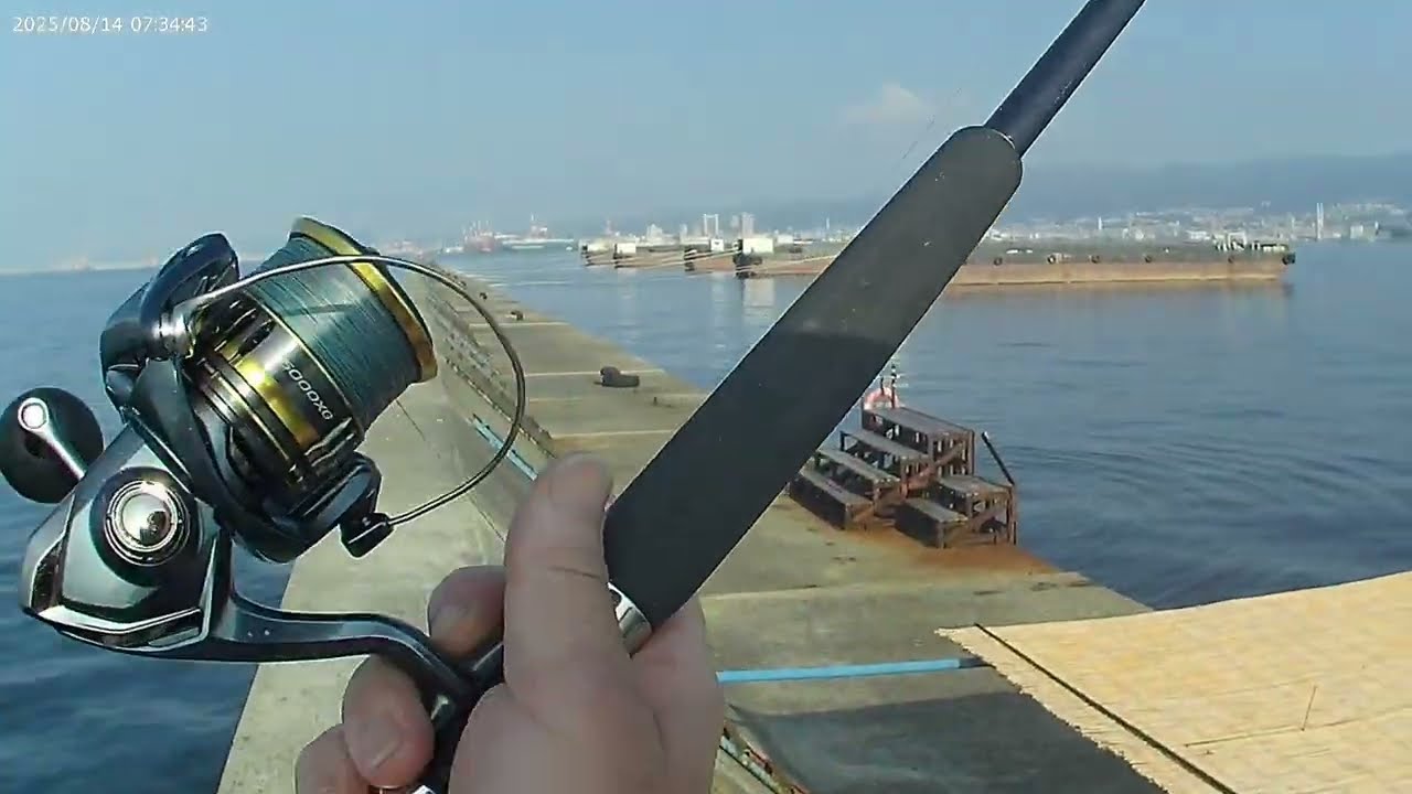 【武庫川一文字　サゴシ編】武庫川一文字でサゴシの当たりが連発！ノマセもやってみた