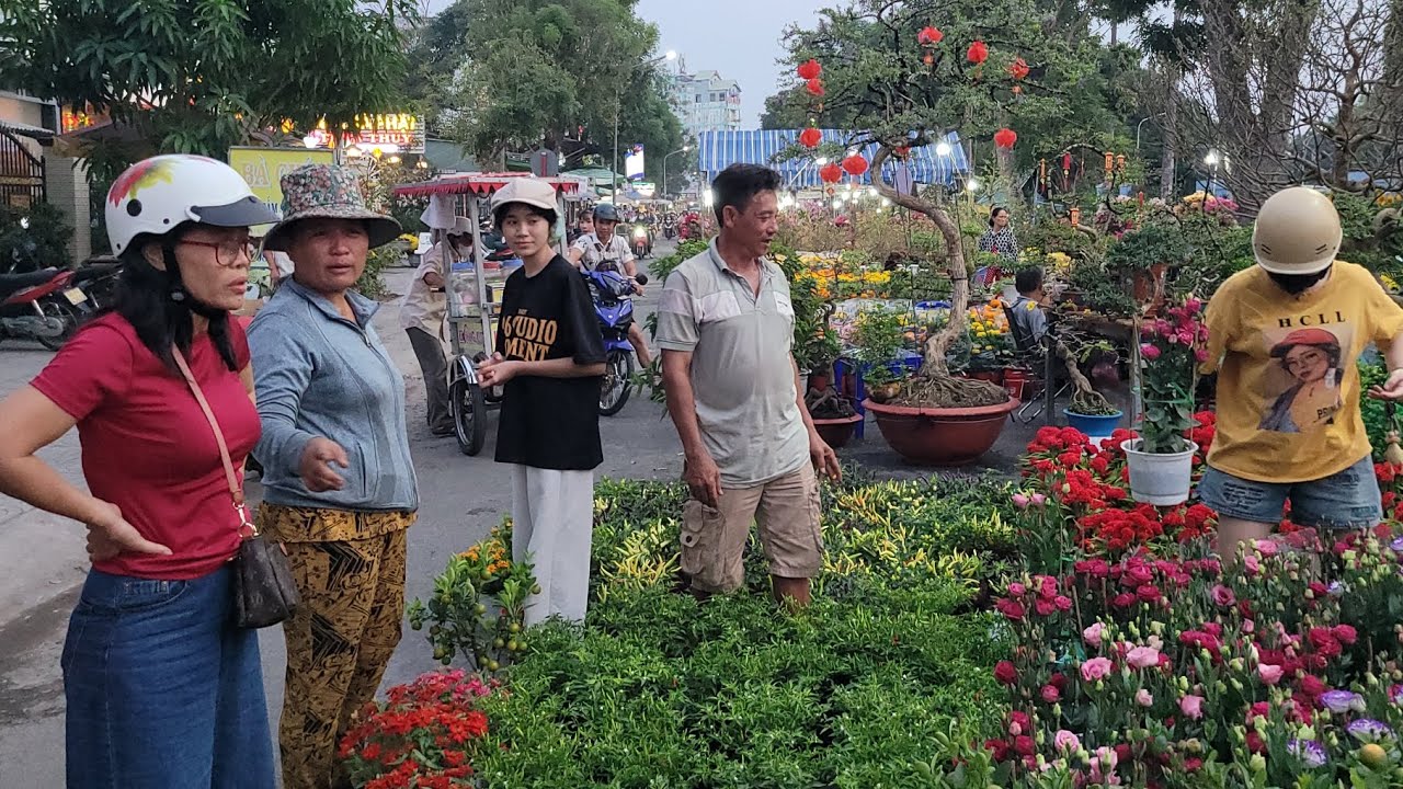Quá Khủng Chợ Hoa Cao Lãnh Đồng Tháp Cúc, Vạn Thọ Siêu Rẻ 