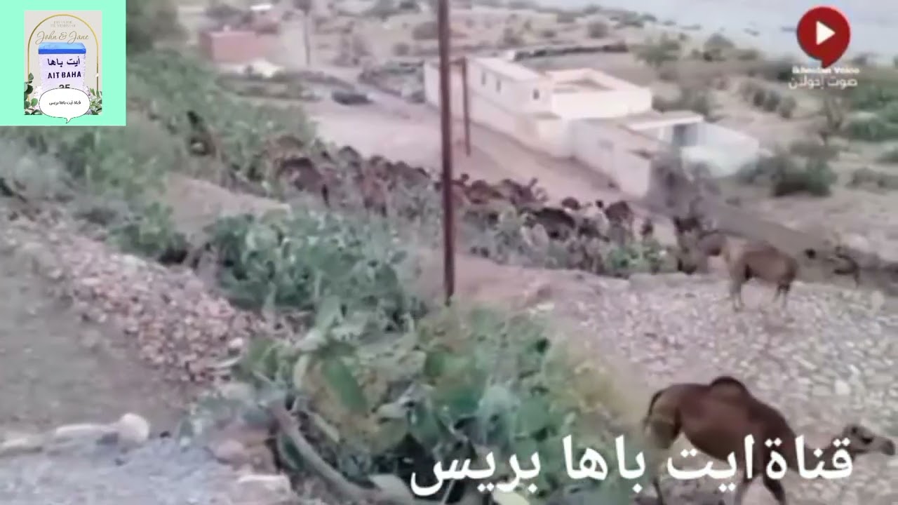 دواوير  قبيله اخولاان جماعة تسكدلة إقليم شتوكة آيت باها @قناة آيت باها بريس ش3س 
