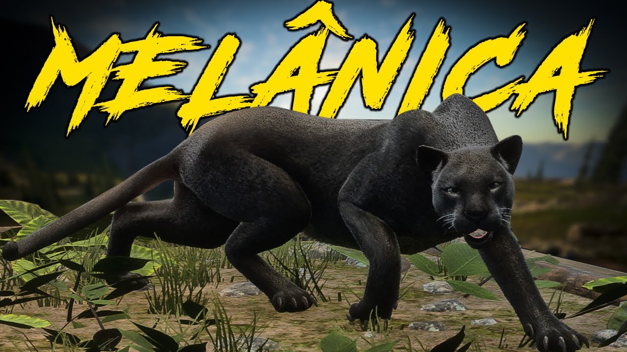 CACEI A ONÇA MAIS RARA DO JOGO + VEADO VERMELHO DIAMANTE - THE HUNTER CALL OF THE WILD GAMEPLAY