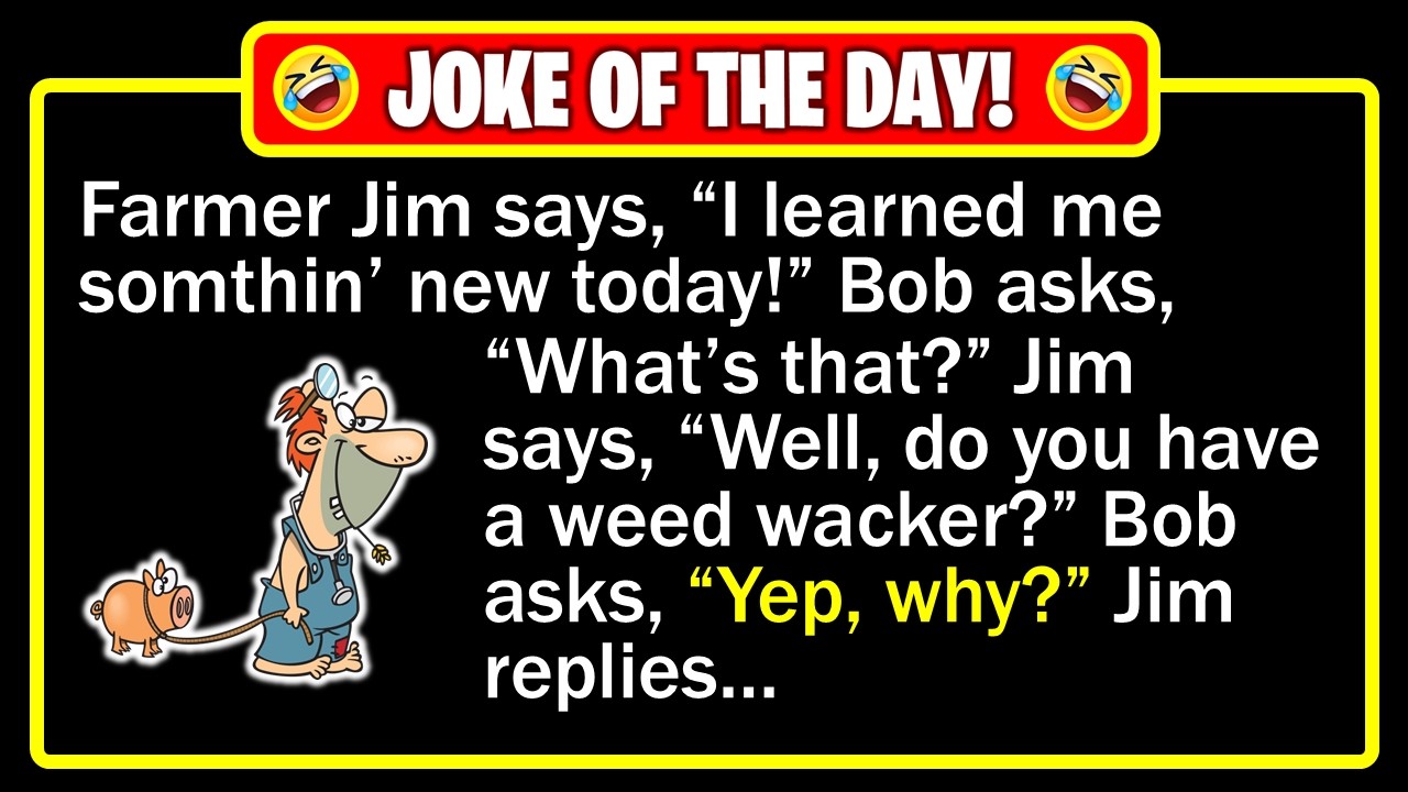 🤣 Jokes That Are So Bad, You Have to Laugh! #4 | Funny Dad Jokes