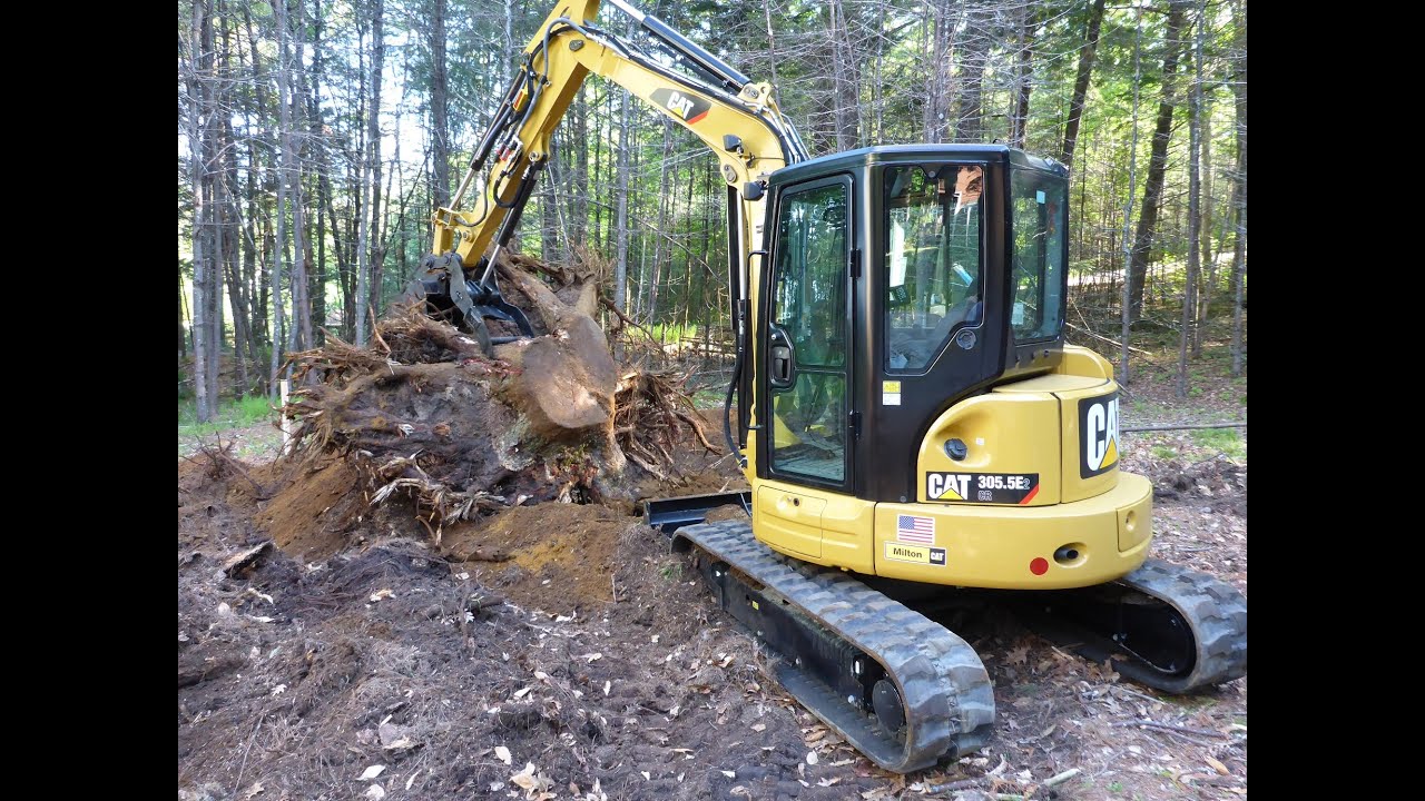 Cat 305.5e2 Removing Stumps