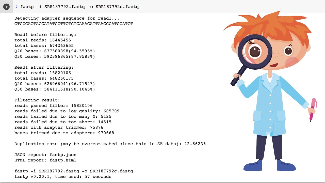 Utilizing fastp to Pre-Process NGSS Data (Quality Control and Adapter Trimming)