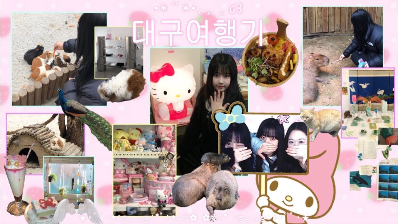 오라 달콤한 대구 여행이여໒꒱ 카피바라와의 첫만남 ✶ 키치한 대구 소품샵 카페 빵집 방문기 ✶ 물비늘 ✶ 영원 아카이브 ✶ 달콤한 메론빵 ✶ 따끈따끈베이커리 ✶ 고영희 식당