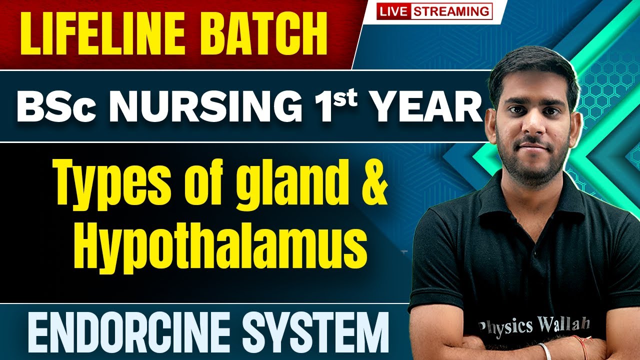 Types of Gland & Hypothalamus | Endorcine System | BSc Nursing 1st Year | Lifeline Batch