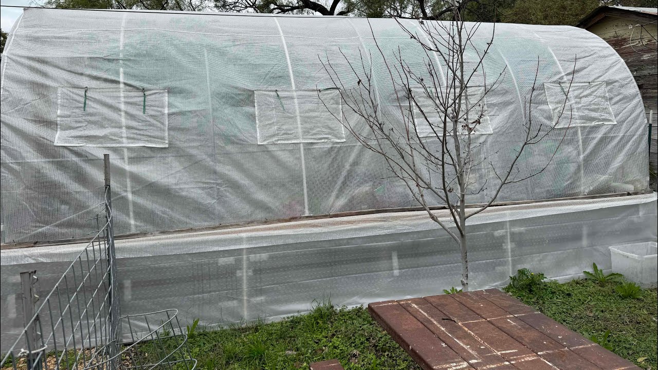 $250 Greenhouse 👍🏻