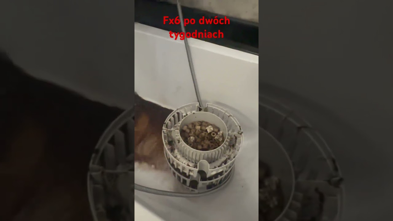 Fluval FX6 - stan po dw&oacute;ch tygodniach