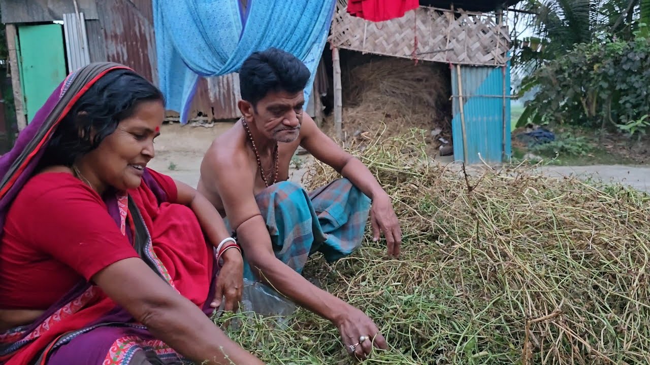 আমরা ঈদের ছুটিতে বাড়ি চলে আসলাম 