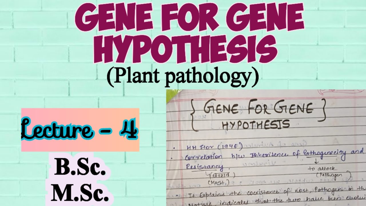 Gene for Gene Hypothesis|| Plant Pathology lecture 4|| gene for gene Hypothesis notes#plantpathology