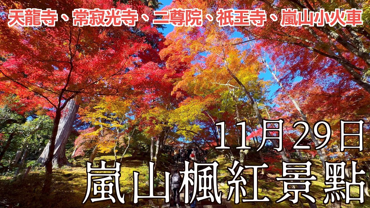 2024 京都楓葉快報 I 11/29 嵐山楓葉現況分享、天龍寺已滿開、常寂光寺約7成、二尊院接近滿開、祇王寺約6成、嵐山小火車約6成、嵐山公園滿開