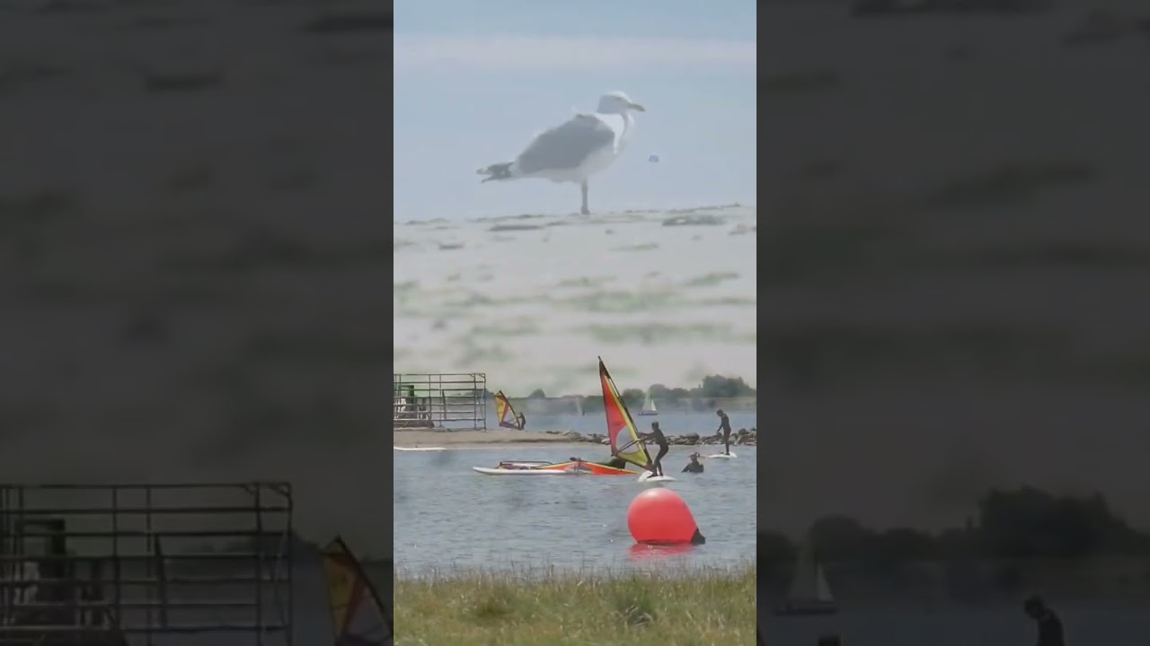 Renesse in Zeeland, wir lieben es.. Ende Juli ist es wieder soweit #zeeland #beach #beachvibes