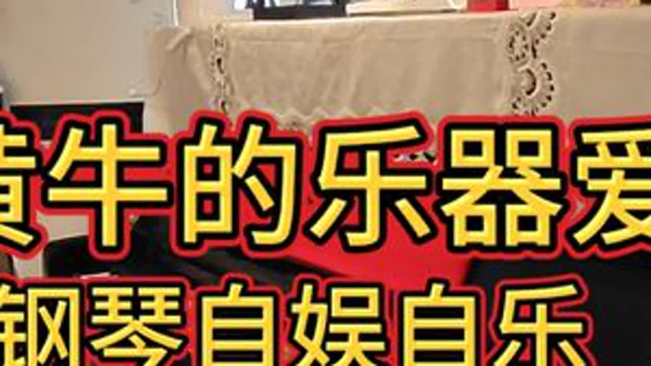 老黄牛的乐器爱好钢琴自娱自乐。