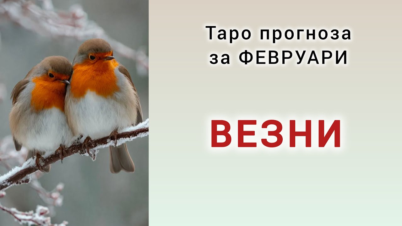 ВЕЗНИ ♎ Таро прогноза за ФЕВРУАРИ 2026 #хороскоп #везни #tarotreading